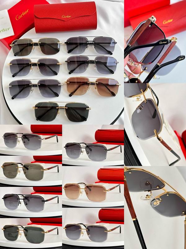 Cartier Glasses smx (175)